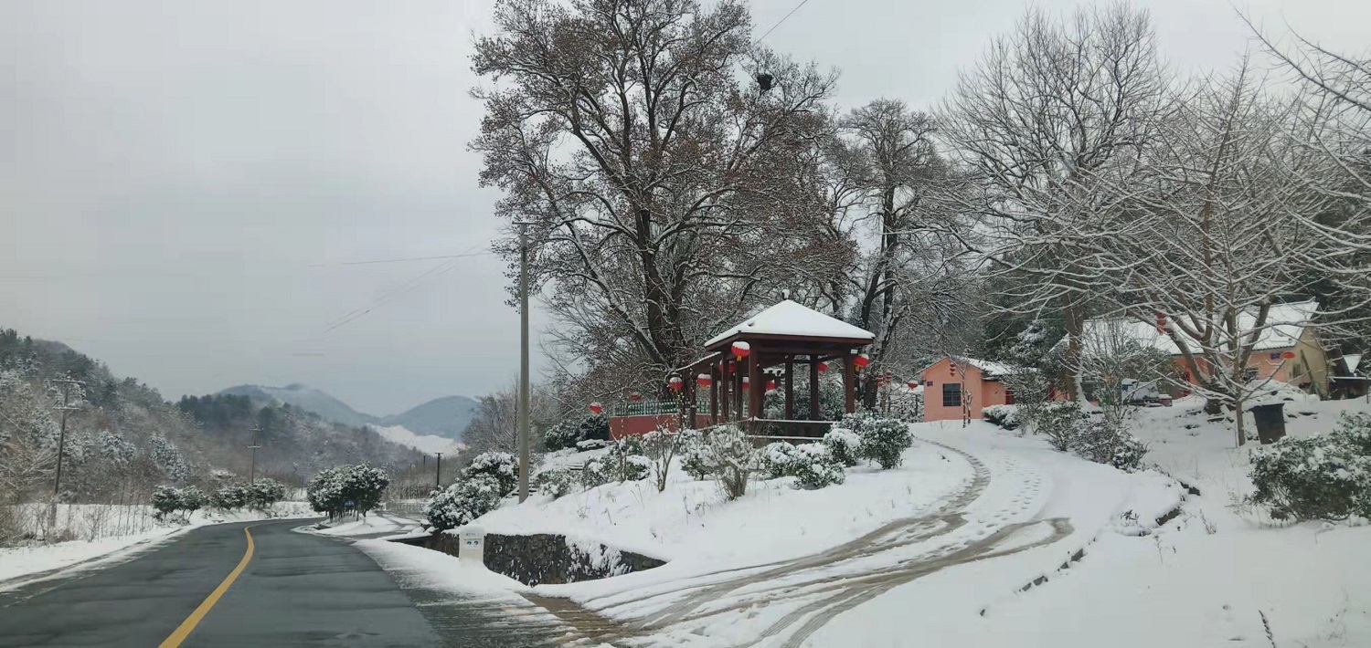 楊集鎮(zhèn)三口堰村對(duì)節(jié)王雪景，攝影：胡勇1