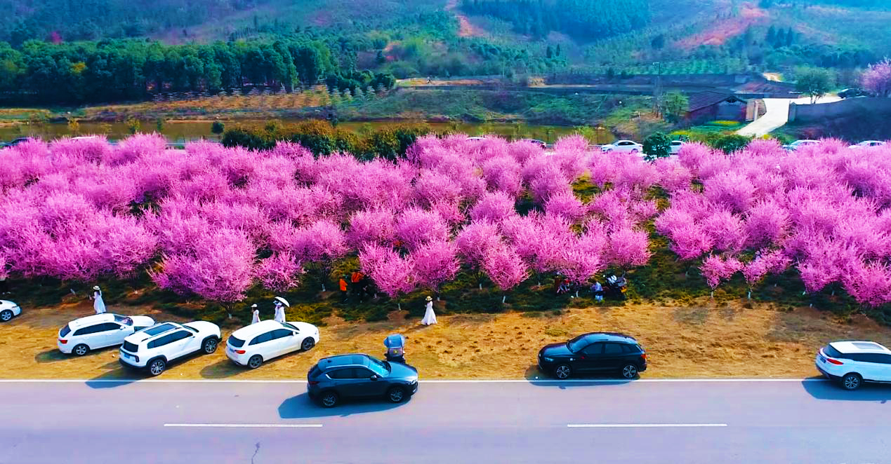 圖片2